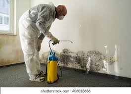 Reliable Lake Hiawatha, NJ Mold Remediation Solutions